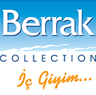 logo2